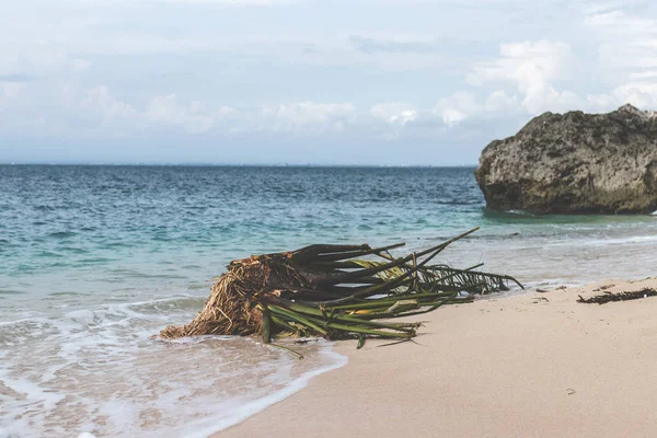 Playa tropical virgen en la isla de Bali, Indonesia . — Foto de Stock
