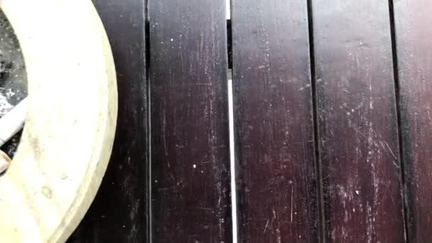 トロピカル ガーデンの背景に灰皿をクローズ アップ。バリ島、インドネシア. — ストック動画