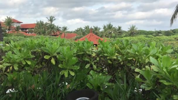 Tropische resort, tropisch landschap. Bali eiland, Indonesië. — Stockvideo