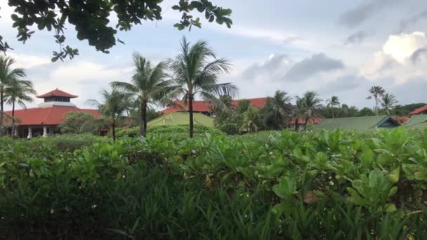 Tropical resort, tropical landscape. Bali island, Indonesia. — Stock Video