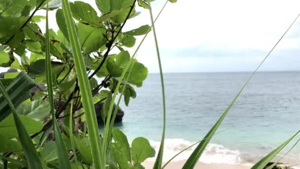Τροπική παραλία, στην ηλιόλουστη μέρα. Νησί του Μπαλί, Ινδονησία. Ασία. — Αρχείο Βίντεο