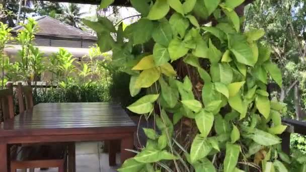 Dva dřevěné židle a stůl na pozadí deštných pralesů tropické džungle. Tropický resort, Bali, ostrov. 4 k měkký pohyb. — Stock video