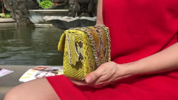 Жінка з моди зміїної шкіри сумочкою люкс на відкритому повітрі. Зміїної шкіри python сумки. — стокове відео