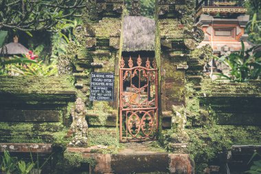 Bali dili Tapınak Adası kuzeyindeki. Bali, Endonezya'nın tropik hindu ada. Asya.