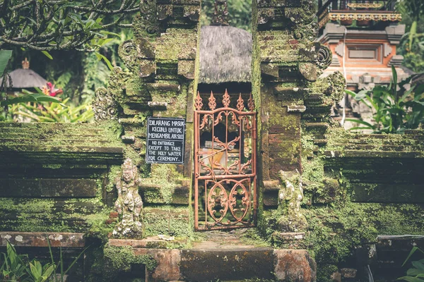 Bali dili Tapınak Adası kuzeyindeki. Bali, Endonezya'nın tropik hindu ada. Asya.