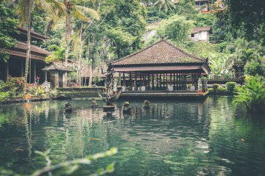 Bali dili Tapınak Adası kuzeyindeki. Bali, Endonezya'nın tropik hindu ada. Asya.