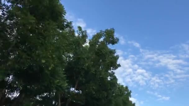 Ağaçlar gökyüzü arka plan üzerinde. Scooter sürüş. Motosiklet stadycam ile yakalanan. Asya. — Stok video