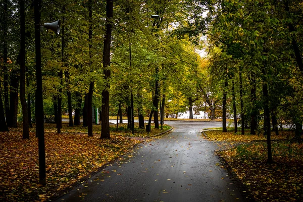 가을 공원에 있는 길이요. 가을 숲. — 스톡 사진