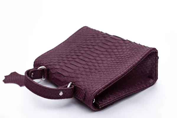 Mode lyx orm hud python handväska isolerad på en vit bakgrund. — Stockfoto