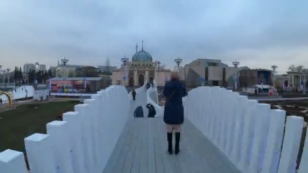 MOSCOW, RÚSSIA - NOVEMBRO 27, 2019: Pista de patinação no gelo da cidade grande em VDNKh . — Vídeo de Stock