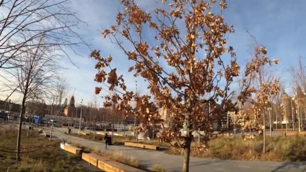 Moskou, Rusland - 23 november 2019: Zaryadye Park. — Stockvideo