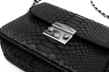 Beyaz arka planda izole edilmiş, lüks yılan derisi piton çantalı..