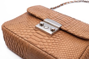 Beyaz arka planda izole edilmiş, lüks yılan derisi piton çantalı..