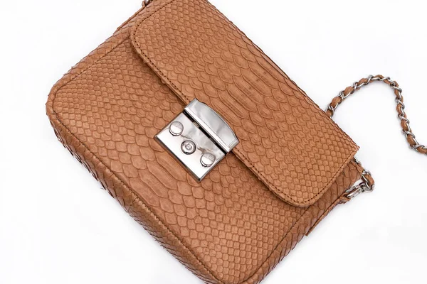 Mode Luxus Schlangenhaut Python Handtasche isoliert auf weißem Hintergrund. — Stockfoto