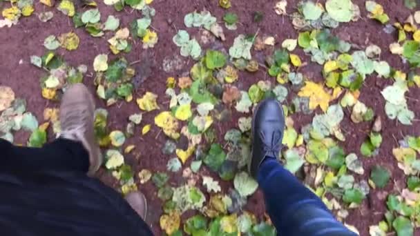 Hombre y mujer camina a lo largo del colorido follaje otoñal del parque de la ciudad. Cerca de las piernas y zapatos vista . — Vídeos de Stock