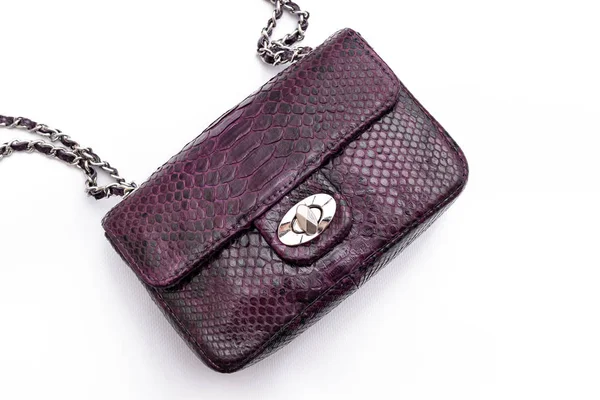 Luxury snakeskin python leather handbag isolated on a white background. — 스톡 사진