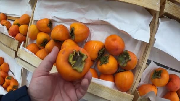 Man hand choosing persimmon on a food market. Organic food. Agriculture. — Stock Video