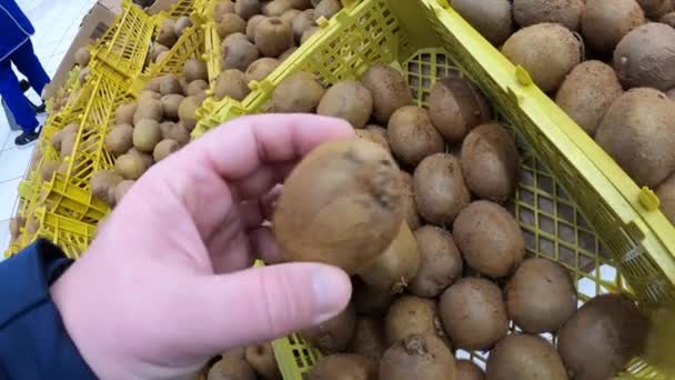 Man hand välja färsk ekologisk frukt kiwi på livsmedelsmarknaden. Hälsosam mat. — Stockvideo