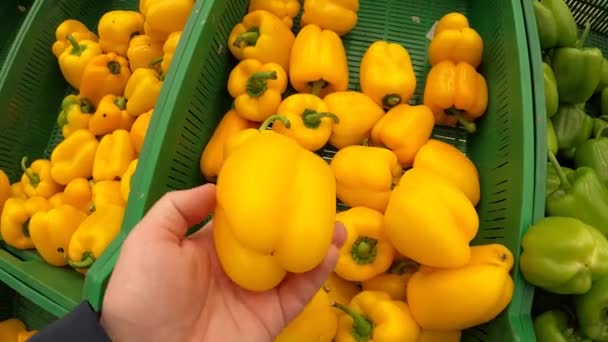 Man hand kiezen van verse biologische paprika op een supermarkt. Zuiver biologisch gezond voedsel. — Stockvideo