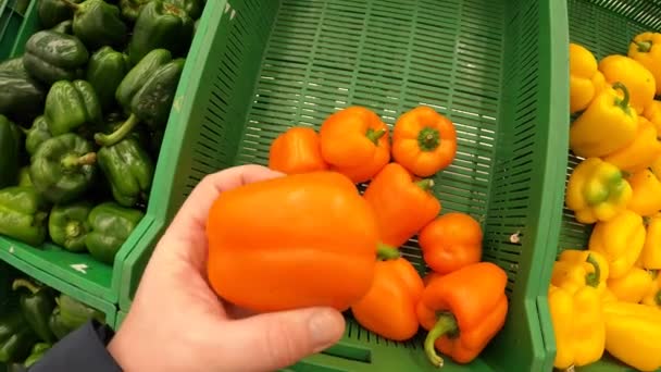 Hombre mano elegir pimentón orgánico fresco en un mercado de comestibles. Alimento sano orgánico puro . — Vídeo de stock