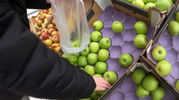 Frau wählt frische Bio-Äpfel auf dem Lebensmittelmarkt. rein biologische Lebensmittel, vegetarisch. — Stockvideo