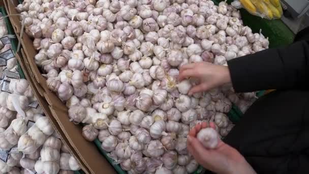 Woman choosing fresh organic garlic on a grocery local market. Healthy organic food, vegetarian. — 비디오