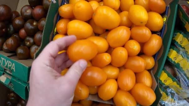 Homme choisissant des tomates biologiques fraîches sur un marché d'épicerie local. Aliments frais et sains, végétarien . — Video