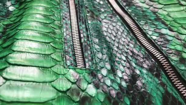 Green snakeskin python texture. Fashion luxury leather jacket close up. — Stock Video