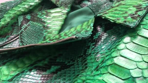 Зеленая текстура питона из змеиной кожи. Роскошная кожаная куртка . — стоковое видео
