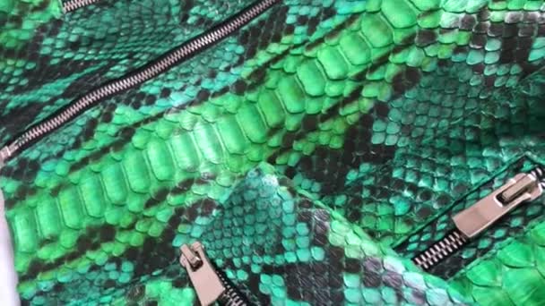 Textura pitón de piel de serpiente verde. Chaqueta de cuero de lujo de moda de cerca . — Vídeo de stock