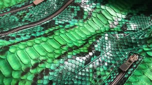 Textura pitón de piel de serpiente verde. Chaqueta de cuero de lujo de moda de cerca . — Vídeos de Stock