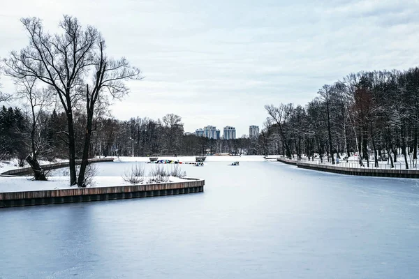 Winter Park in Moscow with Snowy Trees. Winter landscape. — 스톡 사진