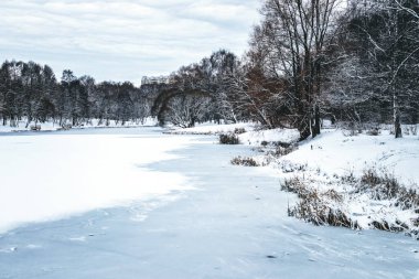 Winter Park in Moscow with Snowy Trees. Winter landscape.