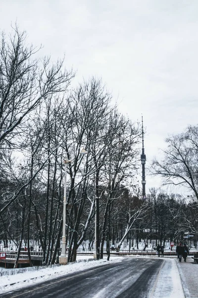 Winter Park in Moscow with Snowy Trees. Winter landscape. — Stockfoto