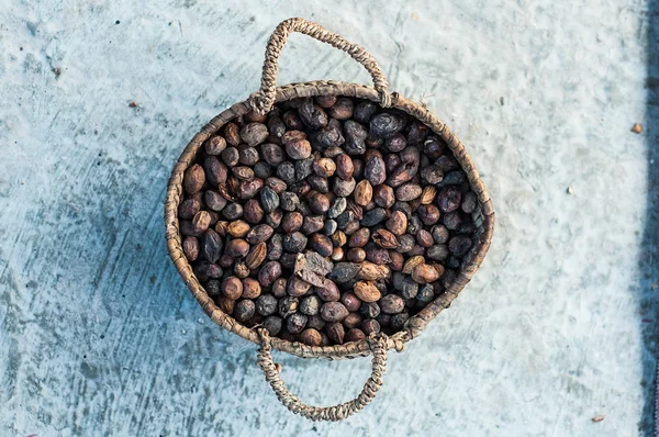 Trockene Arganfrüchte — Stockfoto