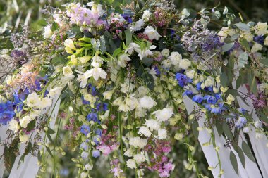 arka plan küçük çiçek