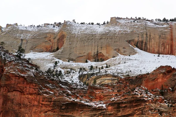 Zion-Nationalpark-Klippen — Stockfoto