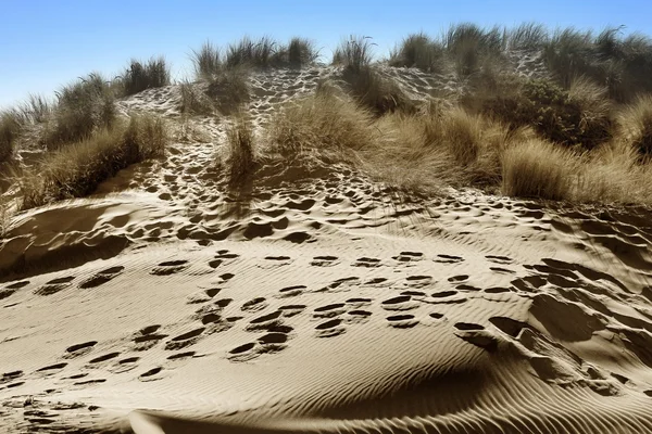 Dune di sabbia con impronte su una spiaggia — Foto Stock