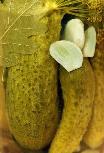 Glass jar with pickled cucumbers — Stock Photo, Image