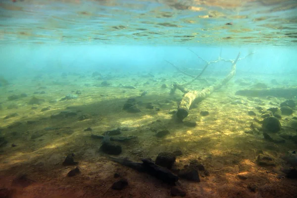 水の下の底に暗礁 — ストック写真