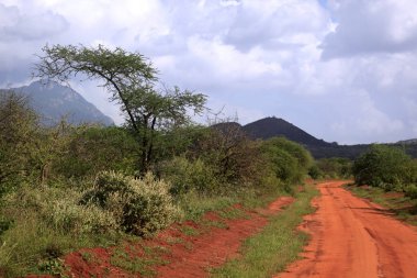 Park Tsavo Doğu Ulusal