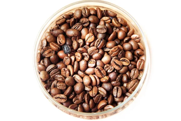 Granos de café en primer plano de estudio — Foto de Stock
