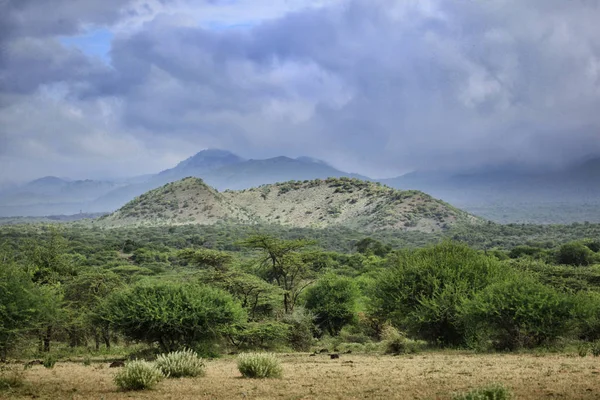 Tsavo Milli Parkı Kenya — Stok fotoğraf