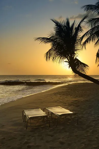 Spiaggia tropicale. Barbados — Foto Stock