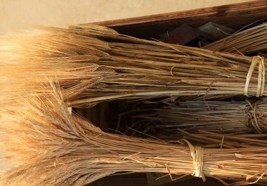 Buğday spikelets yakın çekim