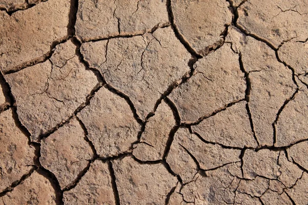 Fondo seco de tierra agrietada —  Fotos de Stock