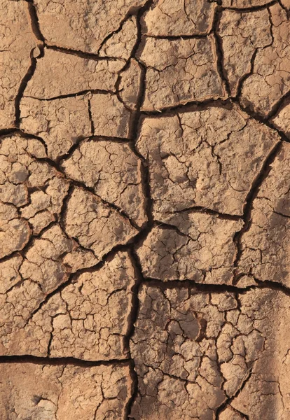 Fundo terra rachado seco — Fotografia de Stock