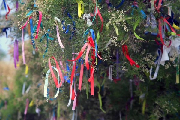 Ribbons on a tree for making wishes — Stock Photo, Image