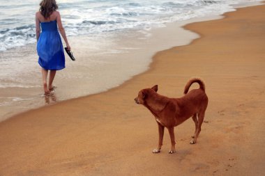 Kırmızı köpek ve sahilinde yalnız kız