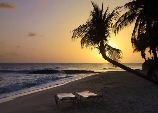 手のひらで素敵な熱帯のビーチのサンセット観 — ストック写真